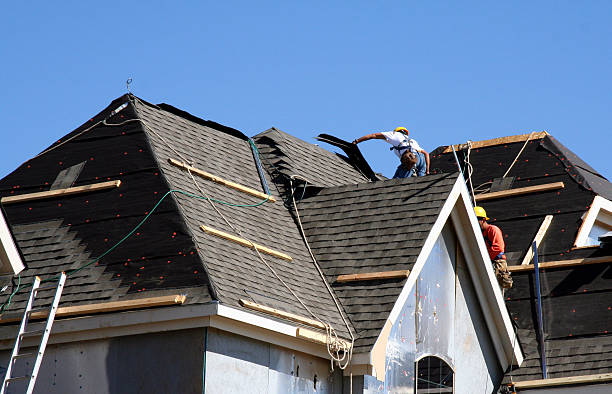 Best Gutter Installation and Roofing  in Avilla, AR